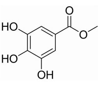 沒(méi)食子酸甲酯