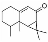 馬兜鈴酮