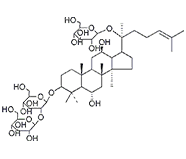 越南參皂苷R4  CAS：156009-80-2 中藥對照品標(biāo)準品