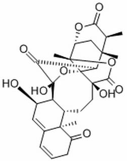 酸漿苦味素L CAS：113146-74-0 中藥對(duì)照品標(biāo)準(zhǔn)品