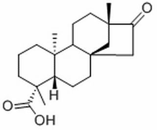 異甜菊醇 CAS： 27975-19-5 中藥對照品標準品