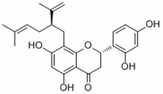 苦參醇 F CAS：97938-30-2 中藥對照品標(biāo)準(zhǔn)品