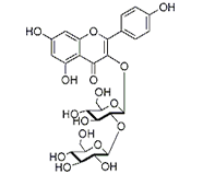 山奈酚-3-O-槐糖苷 CAS：19895-95-5 中藥對(duì)照品 標(biāo)準(zhǔn)品