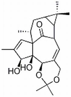 巨大戟醇-5,20-縮丙酮 CAS：77573-43-4 中藥對(duì)照品標(biāo)準(zhǔn)品