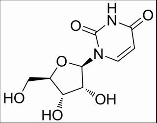 尿嘧啶核苷 CAS：58-96-8 中藥對照品標準品