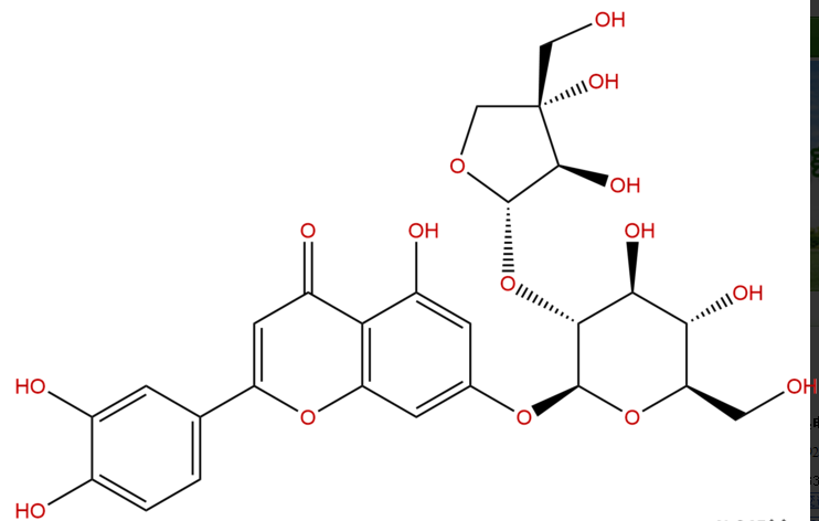 木犀草素 7-芹糖(1-2)-葡萄糖苷 CAS：506410-53-3 中藥對照品