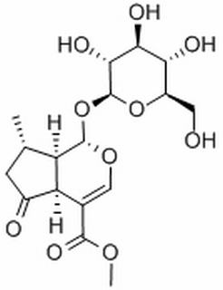 馬鞭草苷 CAS：548-37-8 中藥對(duì)照品標(biāo)準(zhǔn)品