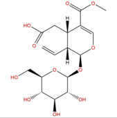 斷氧化馬錢(qián)子苷 CAS： 58822-47-2 中藥對(duì)照品標(biāo)準(zhǔn)品