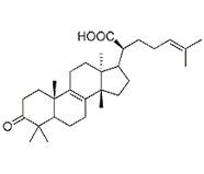 β-欖香酮酸 CAS：28282-25-9 中藥對照品 標準品