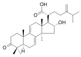 豬苓酸C CAS： 465-18-9 中藥對照品標(biāo)準(zhǔn)品