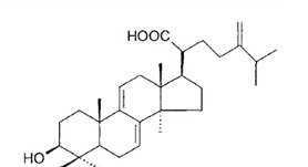 脫氫齒孔酸 CAS：6879-05-6 中藥對(duì)照品標(biāo)準(zhǔn)品