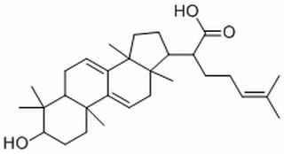 松苓新酸 CAS：29220-16-4 中藥對(duì)照品標(biāo)準(zhǔn)品