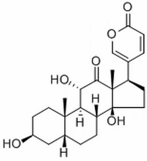 沙蟾毒精 CAS：464-74-4 中藥對照品標(biāo)準(zhǔn)品