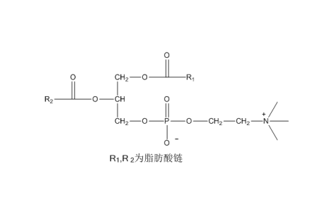 蛋黃磷脂酰膽堿 CAS：93685-90-6 中藥對照品 標準品