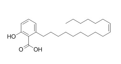 銀杏酚酸（17:1） CAS：111047-30-4 中藥對(duì)照品標(biāo)準(zhǔn)品