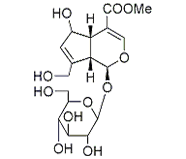 去乙酰車葉草酸甲酯 CAS：52613-28-2 中藥對照品標(biāo)準(zhǔn)品