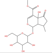 戟葉馬鞭草苷 CAS:50816-24-5 中藥對照品標(biāo)準(zhǔn)品