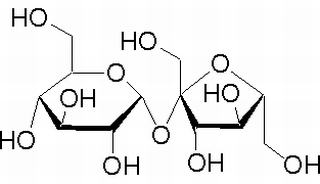 蔗糖 CAS：57-50-1 中藥對(duì)照品標(biāo)準(zhǔn)品