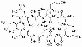 環(huán)孢菌素A CAS：59865-13-3 中藥對(duì)照品 標(biāo)準(zhǔn)品