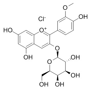 氯化芍藥素 CAS：134-01-0 中藥對照品標準品	