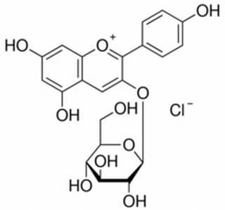 天竺葵素-3-氯化葡萄糖苷 CAS：18466-51-8 中藥對(duì)照品標(biāo)準(zhǔn)品	