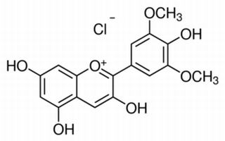 氯化錦葵色素 CAS:643-84-5 中藥對(duì)照品標(biāo)準(zhǔn)品