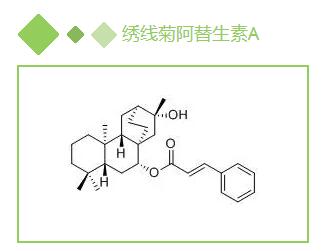 繡線(xiàn)菊阿替生素A