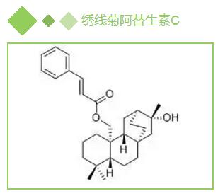 繡線(xiàn)菊阿替生素C