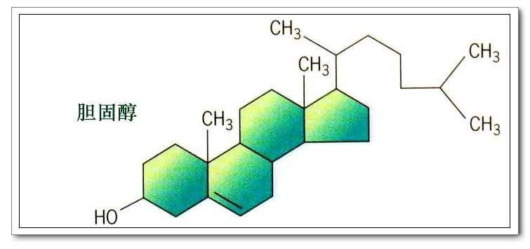 膽固醇化學(xué)式