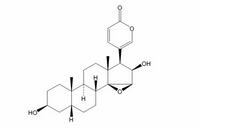 去乙酰華蟾毒精 (Desacetylcinobufagin) CAS:4026-95-3   HPLC≥98%