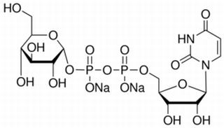 尿苷二磷酸葡萄糖 CAS:28053-08-9 中藥對(duì)照品標(biāo)準(zhǔn)品