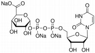 尿苷二磷酸葡糖醛酸 CAS:63700-19-6 中藥對(duì)照品標(biāo)準(zhǔn)品