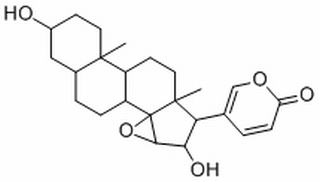 去乙酰華蟾毒精 CAS:4026-95-3 中藥對(duì)照品標(biāo)準(zhǔn)品