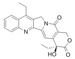 7-乙基喜樹(shù)堿 CAS : 78287-27-1 中藥對(duì)照品標(biāo)準(zhǔn)品