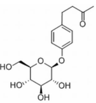 覆盆子酮葡萄糖苷CAS：38963-94-9 中藥對照品標準品