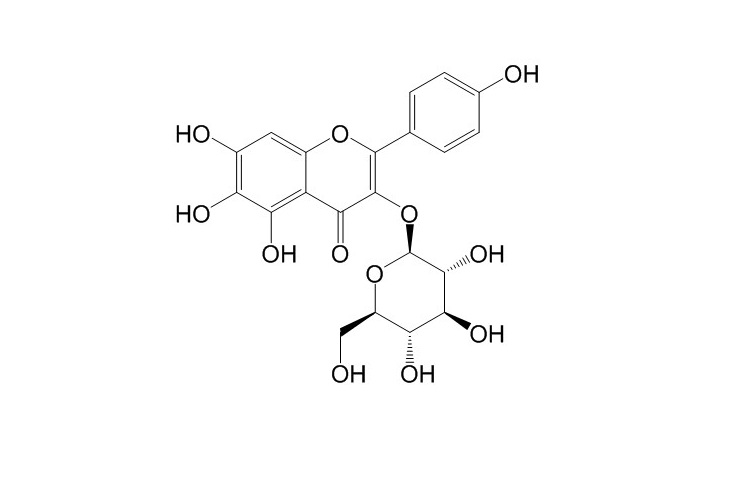 6-羥基山柰酚-3-O-β-D-葡萄糖苷 CAS號：145134-61-8 對照品標準品