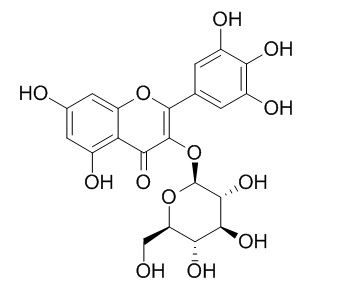 楊梅素-3-O-β-D-葡萄糖苷 CAS號(hào)：19833-12-6 對(duì)照品 標(biāo)準(zhǔn)品