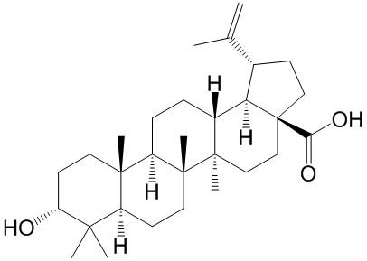 表白樺脂酸（3-表白樺脂酸） CAS號(hào)：38736-77-5 對(duì)照品 標(biāo)準(zhǔn)品