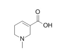 檳榔次堿 CAS號(hào)：499-04-7 中藥對(duì)照品標(biāo)準(zhǔn)品