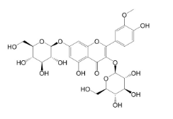 異鼠李素-3,7-O-二葡萄糖苷 CAS號：6758-51-6 中藥對照品標準品