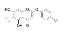 茵陳色原酮 CAS號(hào)：56365-38-9 中藥對(duì)照品標(biāo)準(zhǔn)品