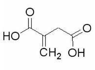  衣康酸  CAS號：97-65-4 中藥對照品標(biāo)準(zhǔn)品