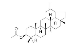 乙酰羽扇豆醇酯 CAS號：1617-68-1 中藥對照品標準品