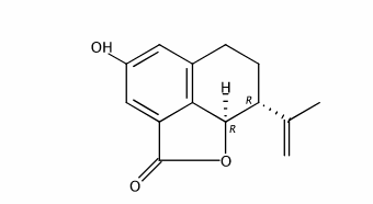 2-Hydroxyplatyphyllide CAS號(hào)：72145-19-8 中藥對(duì)照品標(biāo)準(zhǔn)品