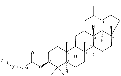 羽扇烯基棕櫚酸酯 CAS號(hào)：32214-80-5 中藥對(duì)照品標(biāo)準(zhǔn)品