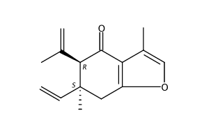 表莪術(shù)呋喃烯酮 CAS號(hào)：20085-85-2 中藥對(duì)照品標(biāo)準(zhǔn)品