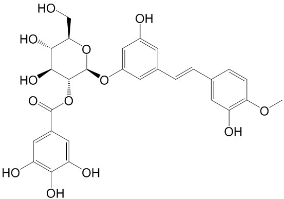  Rhaponticin 2''-O-gallate CAS號(hào)：94356-24-8 中藥對(duì)照品標(biāo)準(zhǔn)品