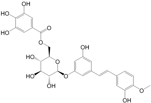 Rhaponticin 6''-O-gallate  CAS號(hào)： 94356-23-7 中藥對(duì)照品標(biāo)準(zhǔn)品