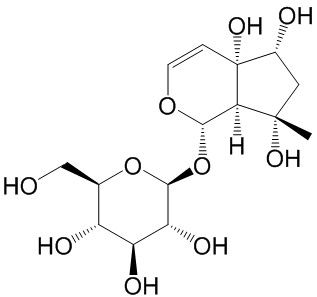  哈巴苷  CAS號(hào)： 6926-08-5 中藥對(duì)照品標(biāo)準(zhǔn)品