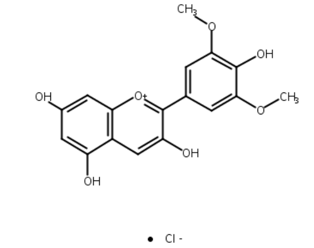 氯化錦葵色素  CAS號(hào)：643-84-5 中藥對(duì)照品標(biāo)準(zhǔn)品